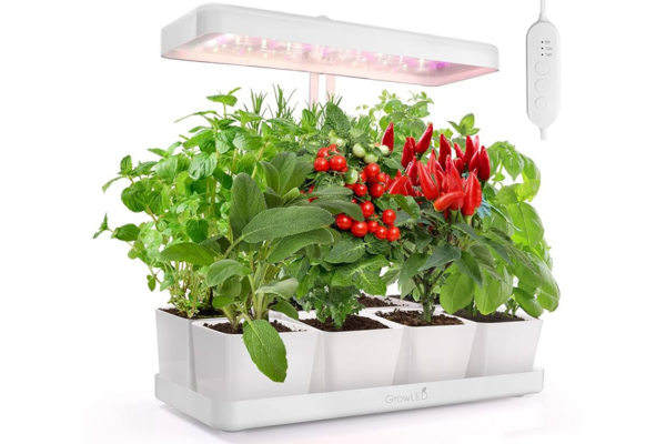Grow light posicionada sobre ervas aromáticas cultivadas em um ambiente interno com sombra parcial.