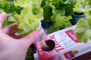 Mini horta feita com caixas de leite recicladas, contendo ervas aromáticas como manjericão, cebolinha e hortelã, organizada em uma varanda pequena e ensolarada