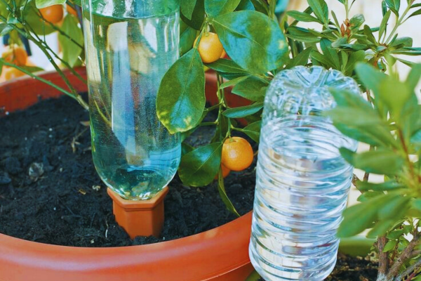 Sistema de irrigação com garrafa PET adaptada