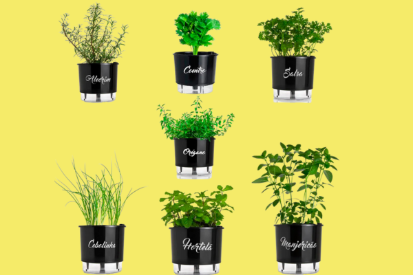 Mini jardim com diferentes ervas aromáticas crescendo em vasos autoirrigáveis pequenos sobre uma varanda iluminada pelo sol.